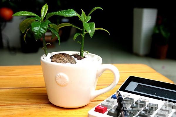 �b��b�޼Ҿ��b���k��������֪�R