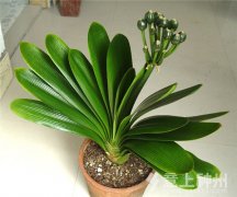 �h(hu��n)���Ҿ�����-�����m