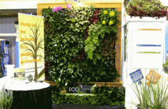 ���ЏN���õ���ݑ�(y��ng)ԓ��ô�Nֲ