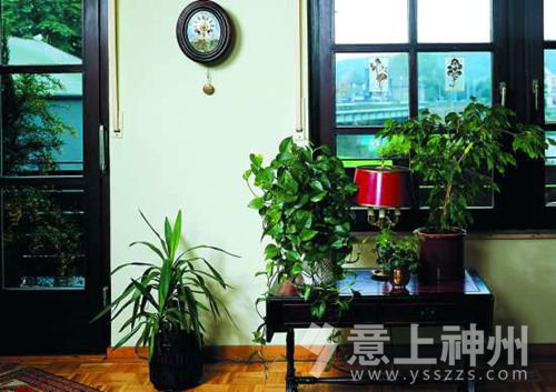 家中園藝應(yīng)該要注意什么